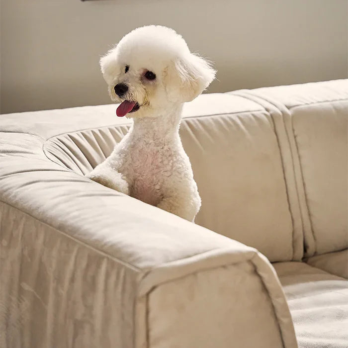 9-Layer Modular Sleeper Sofa